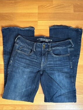 American Eagle Outfitters Dark Blue Artist Jeans